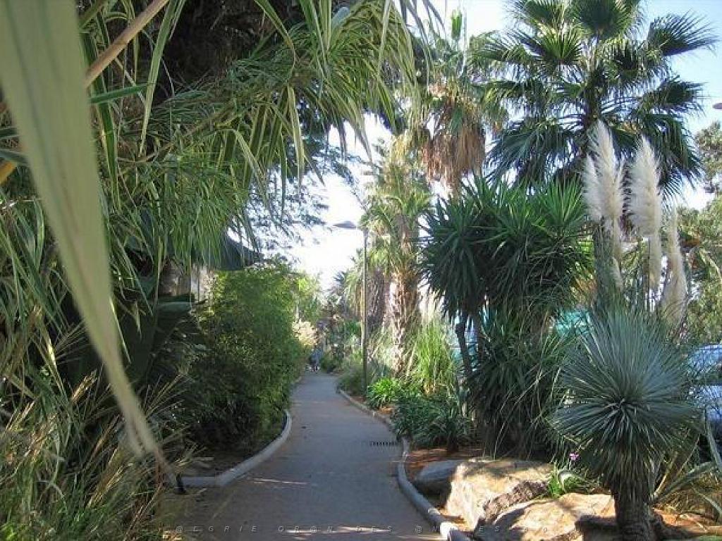 183 D36 LE LAVANDOU_000060.jpg